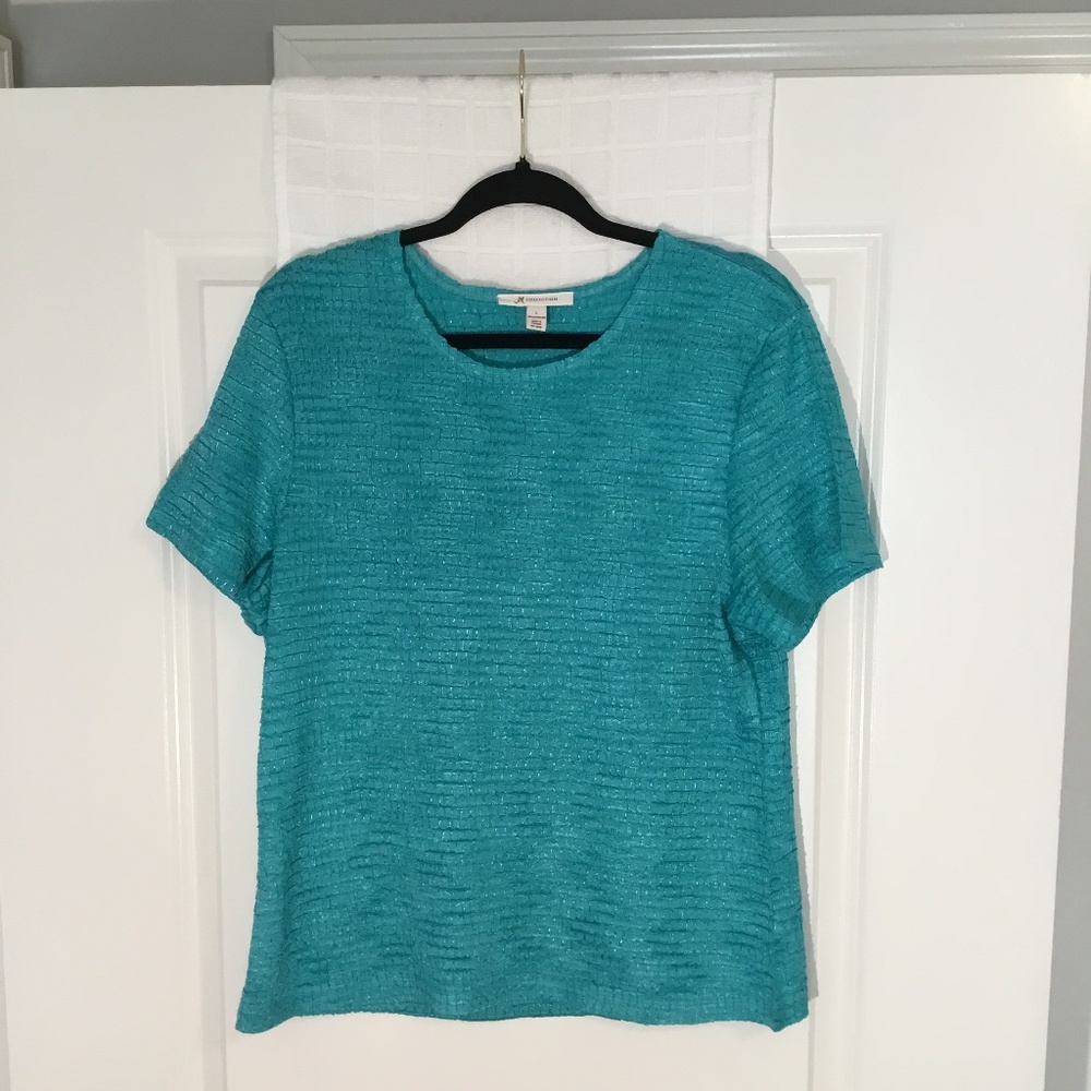 JM Collection Ladies Short Sleeve Pullover Top Seafoam Green Size L